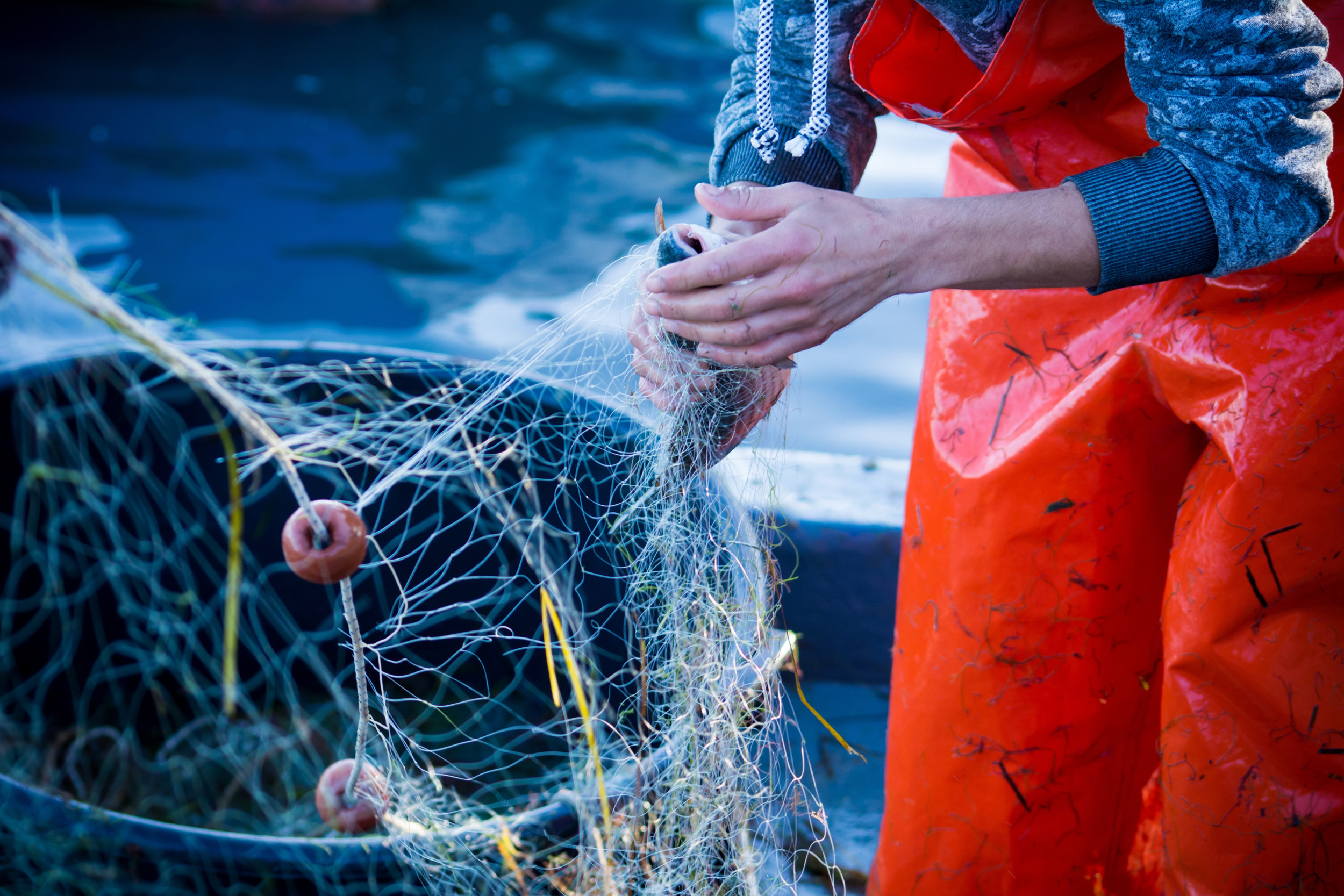 Aufgrund deutlicher Vorteile bei Gewicht, Handling und Haltbarkeit ist Kunststoff in der kommerziellen Fischerei unverzichtbar.